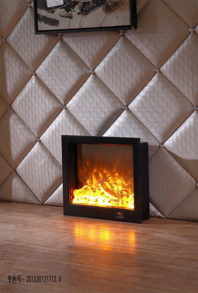 main view fireplace insert